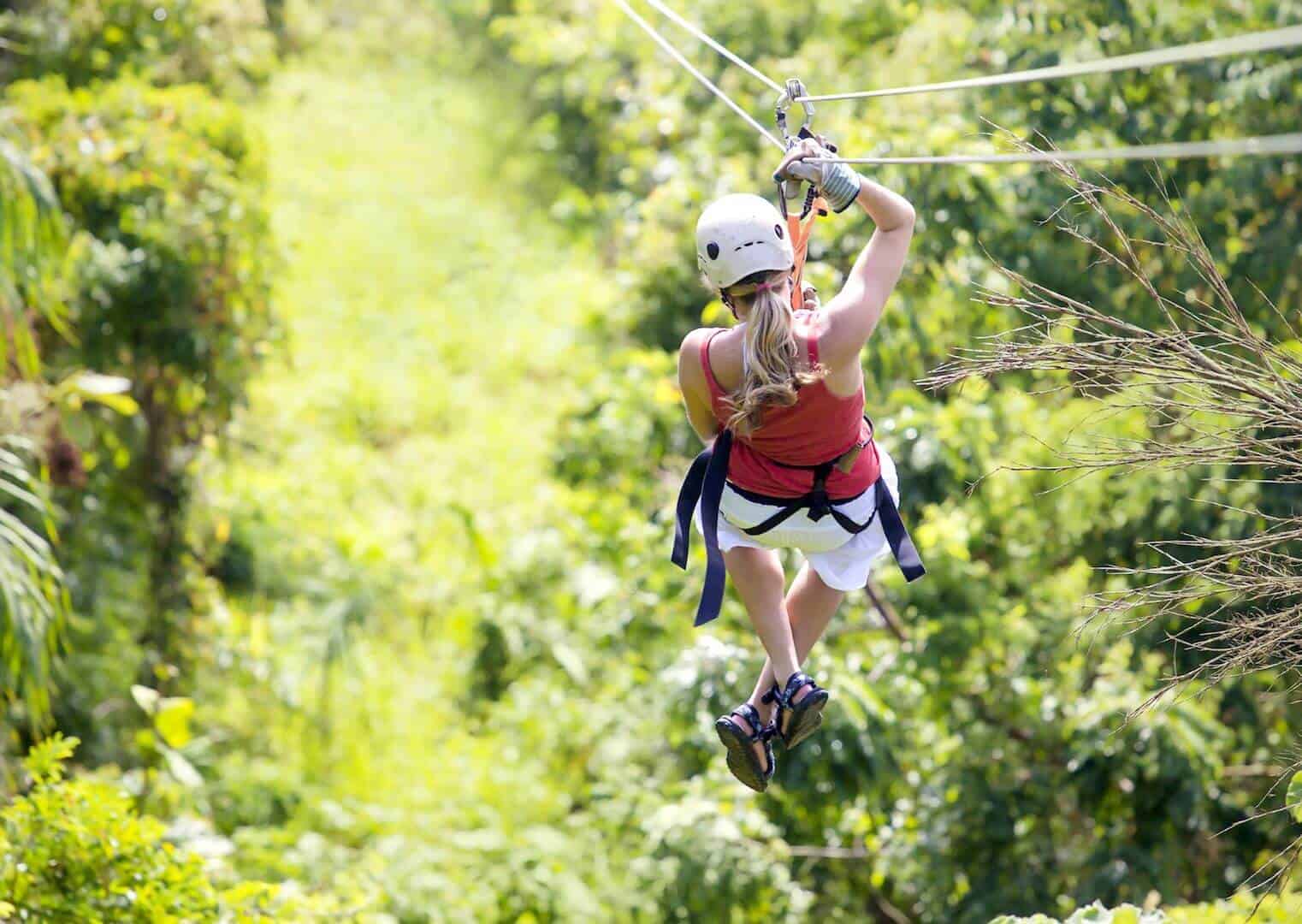  animal park, zip line , 