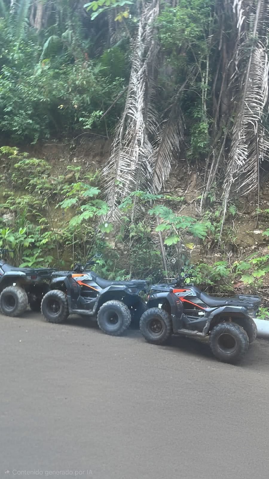 ATV  and monkey park